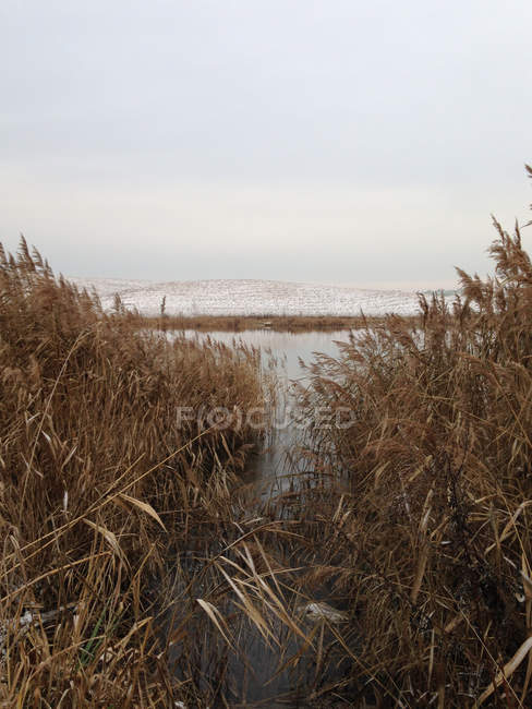 Vista de inverno de lago e rio — Fotografia de Stock