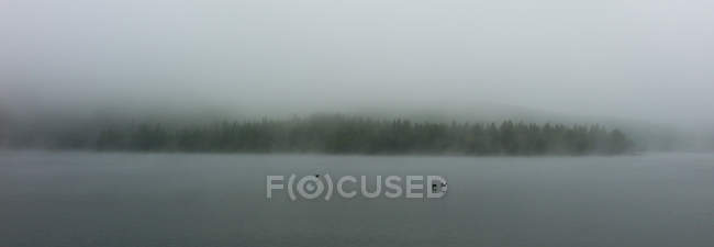Озеро в ранковому тумані — стокове фото