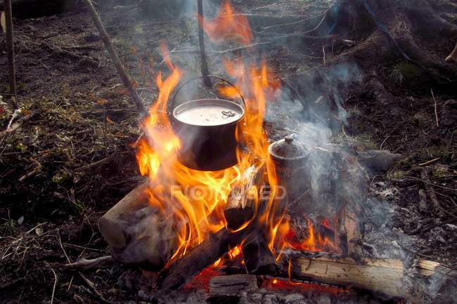 Pot avec nourriture sur le feu de camp — Photo de stock