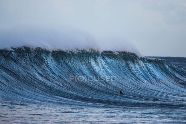 Surfista remando no oceano — Fotografia de Stock