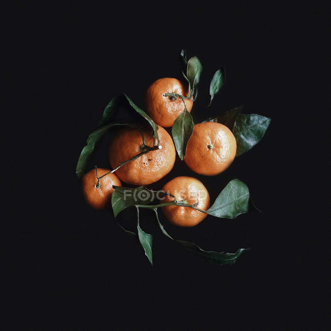 Overhead view of fresh tangerines — Stock Photo