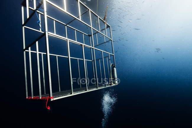 Empty diving cage under sea — Stock Photo