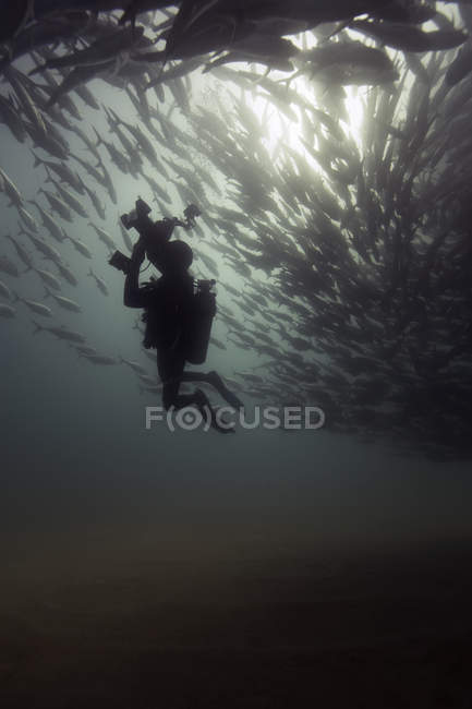 Mergulhador de mergulho escola de fotografia de macacos — Fotografia de Stock