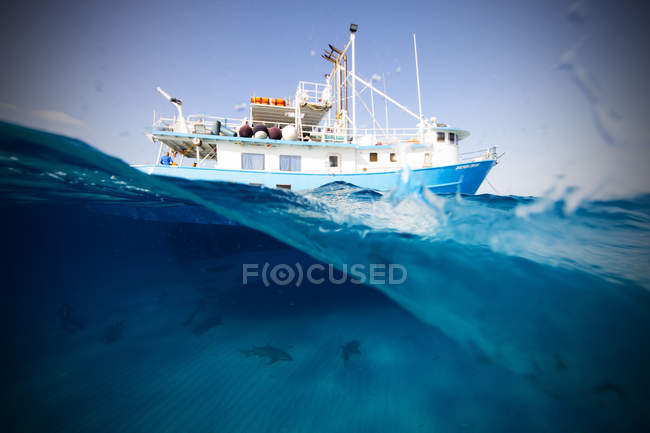 Лодка и лимонная акула плавают под водой — стоковое фото