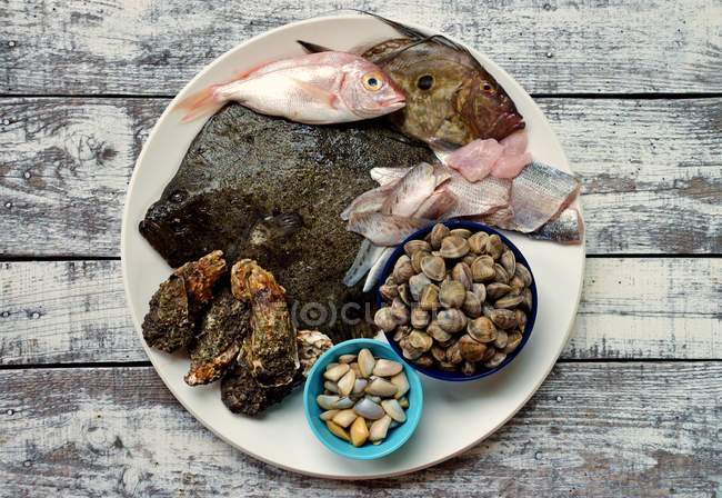 Raw seafood on plate — Stock Photo