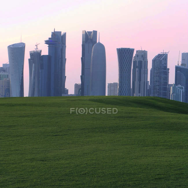 Skyline viewed from park — Stock Photo