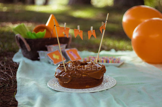 Picnic with cake, balloons and treats — Stock Photo