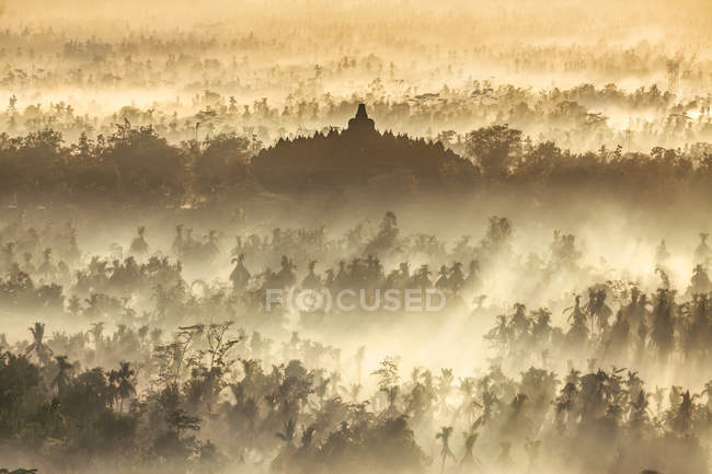 Templo de Borobudur al amanecer - foto de stock
