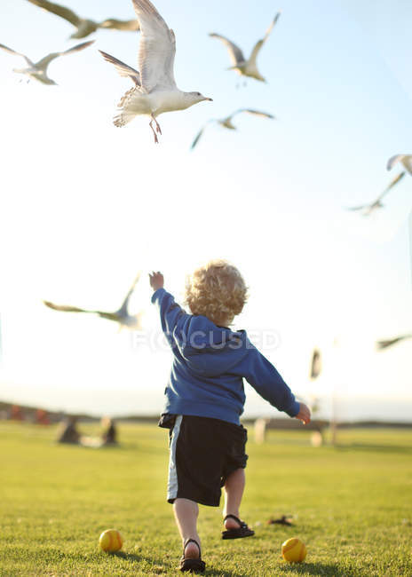 Мальчик гонится за чайками — стоковое фото