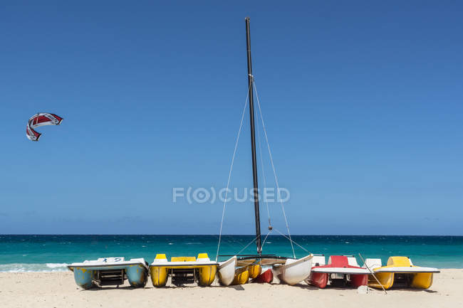 Kite vela na praia — Fotografia de Stock