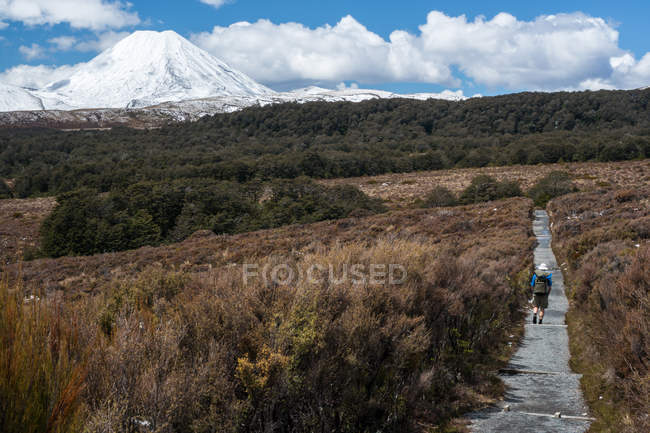 Man hiking trail towards Mount Ngauruhoe — Stock Photo