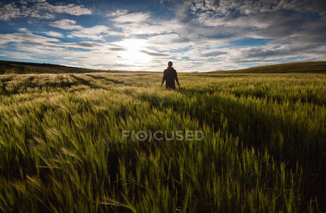 Homem em pé no campo ao pôr do sol — Fotografia de Stock