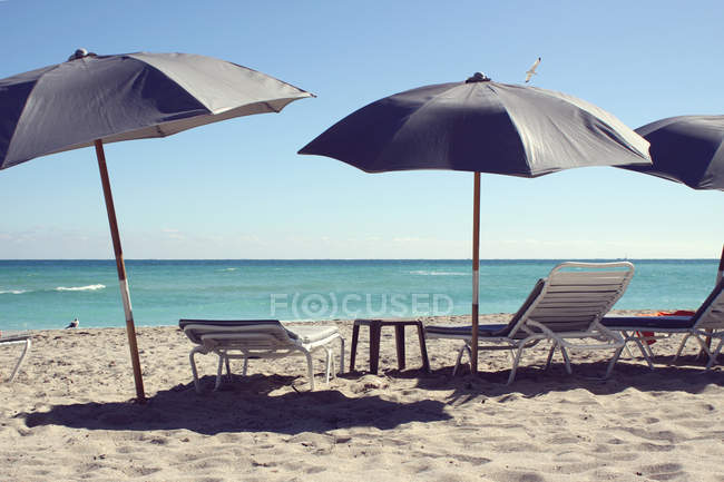 Лаунжі та пляжні парасольки — стокове фото