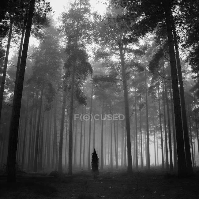 Witch in forest — Stock Photo