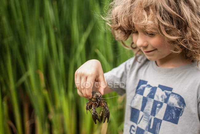 Niño sosteniendo cangrejo - foto de stock