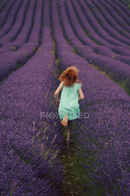 Menina correndo através do campo de lavanda — Fotografia de Stock