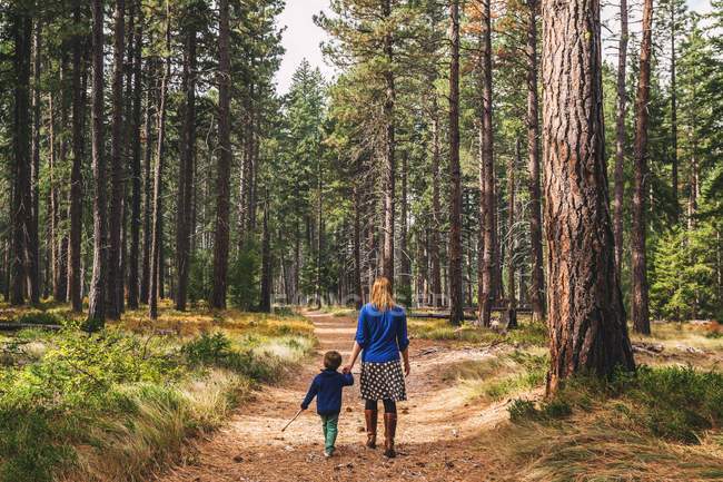 Mother walking with son in forest — Stock Photo
