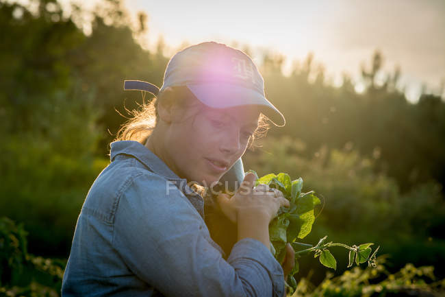 Donna che raccoglie verdure — Foto stock