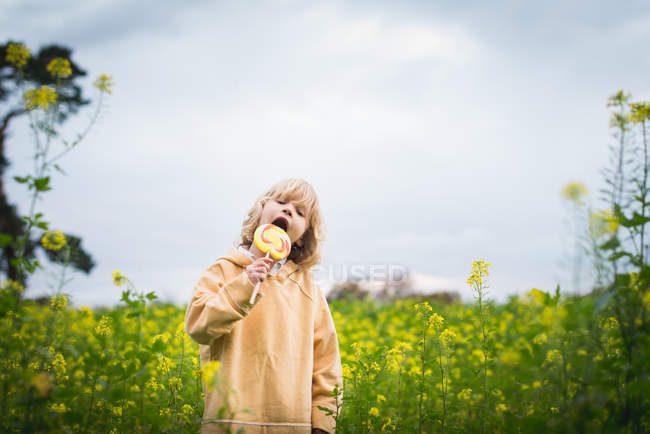 Piccolo ragazzo in piedi con lecca lecca in campo — Foto stock