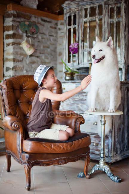 Chico jugando con samoyed perro - foto de stock