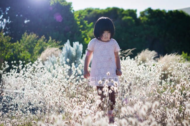Petite fille marchant dans le champ — Photo de stock