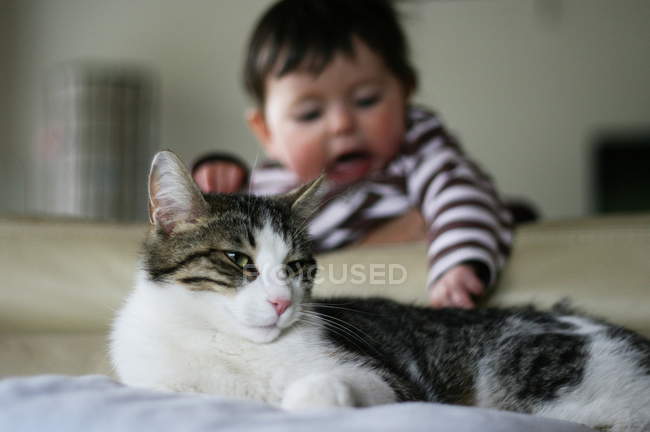 Baby trying catch feline tail — Stock Photo