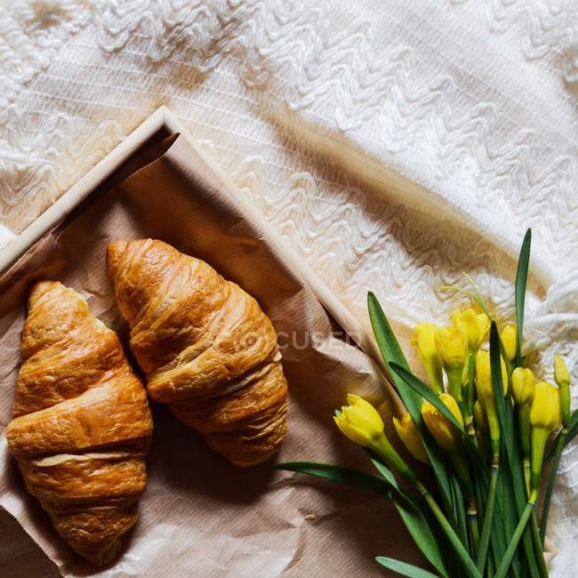 Croissants und frische Blumen — Stockfoto