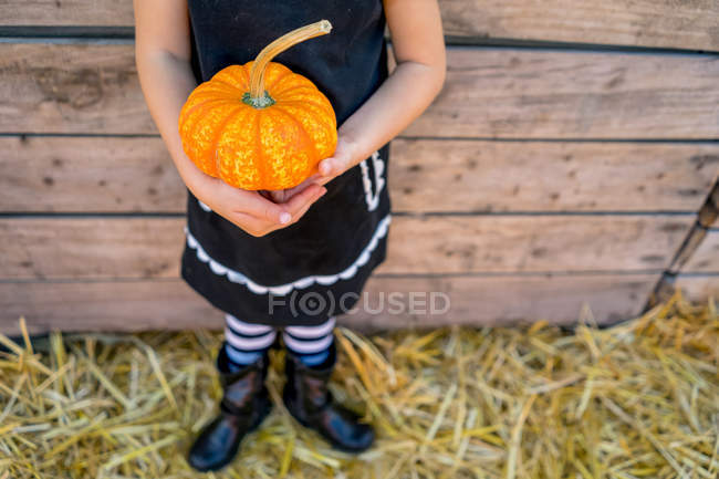 Girl holding small pumpkin — Stock Photo