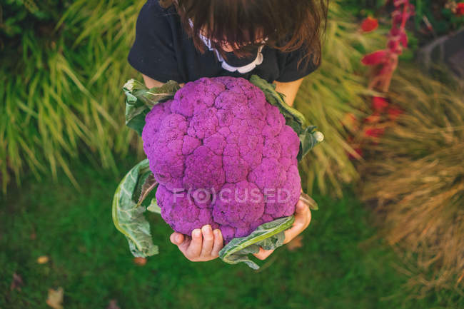 Ragazza che tiene grande cavolfiore viola — Foto stock