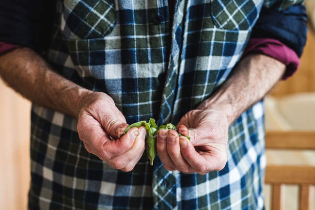 Senior homem bombardeando ervilhas frescas — Fotografia de Stock