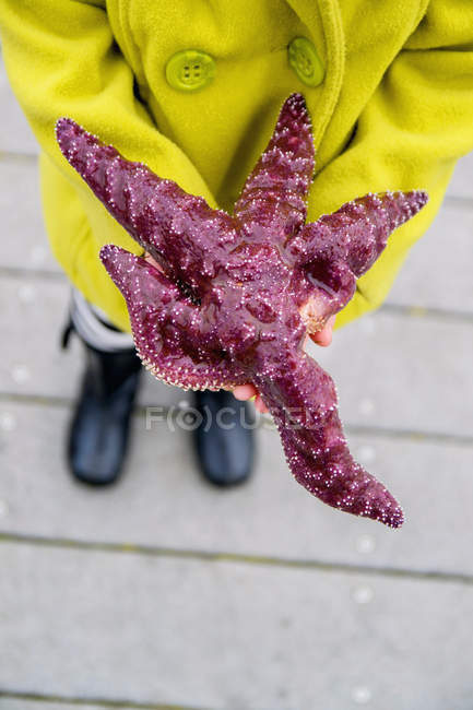 Девушка держит в руке морскую звезду — стоковое фото