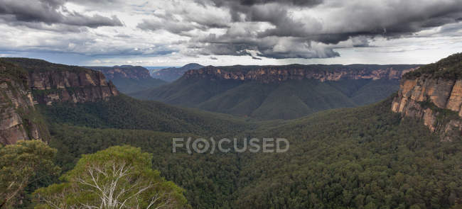 Beautiful view of Blue Mountains — Stock Photo