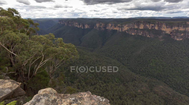 Beautiful view of Blue Mountains — Stock Photo