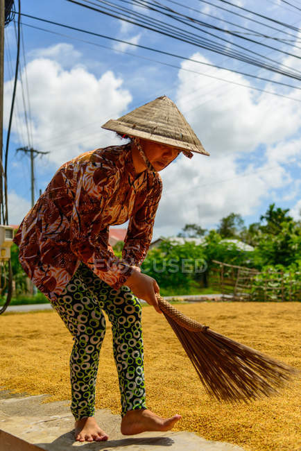 Woman drying rice harvest — Stock Photo