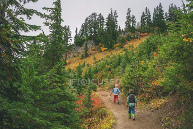 Niños caminando por el sendero de la montaña - foto de stock