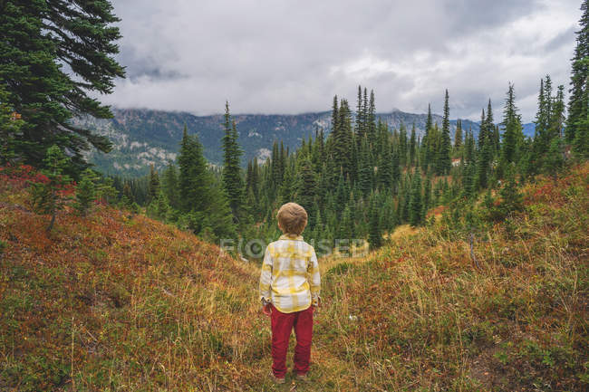 Niño de pie mirando a las montañas vista valle - foto de stock