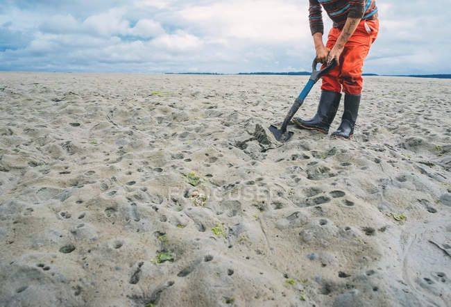 Boy digging for clamming on beach — Stock Photo