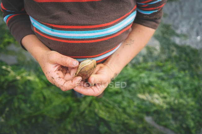 Menino segurando molusco cru fresco — Fotografia de Stock