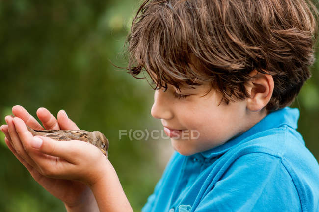 Мальчик держит в руках раненую птицу — стоковое фото