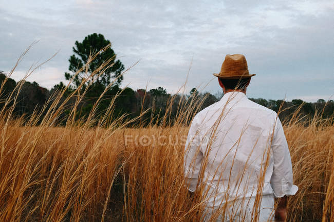 Rear view of man on field — Stock Photo