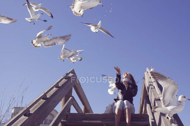 Mulher madura alimentando gaivotas — Fotografia de Stock
