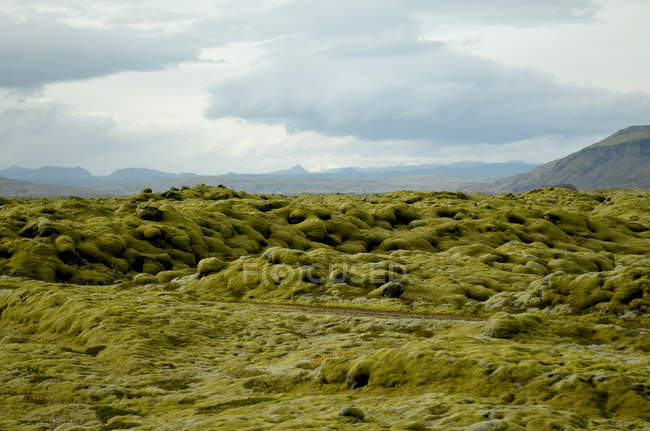 Paisaje árido, Islandia - foto de stock