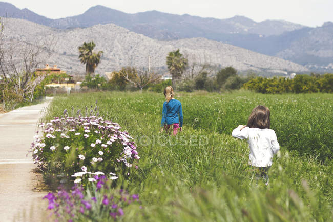 Дівчата ходять у полі — стокове фото