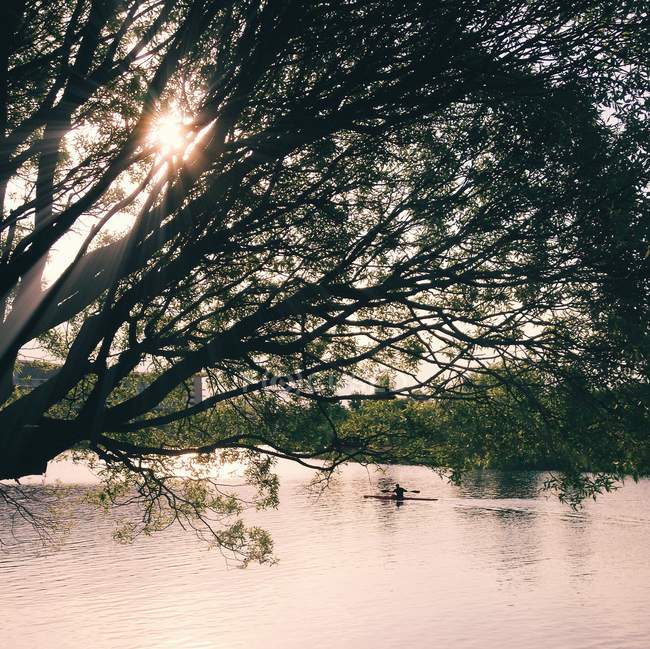 Вершник плаває в озері — стокове фото