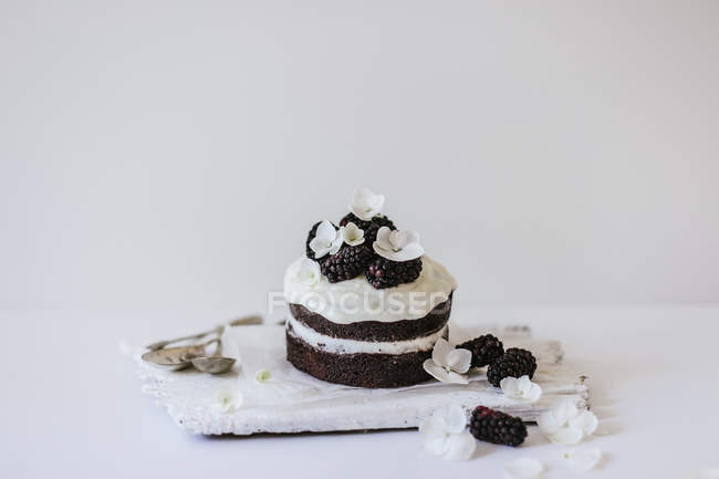 Small chocolate sponge cake — Stock Photo