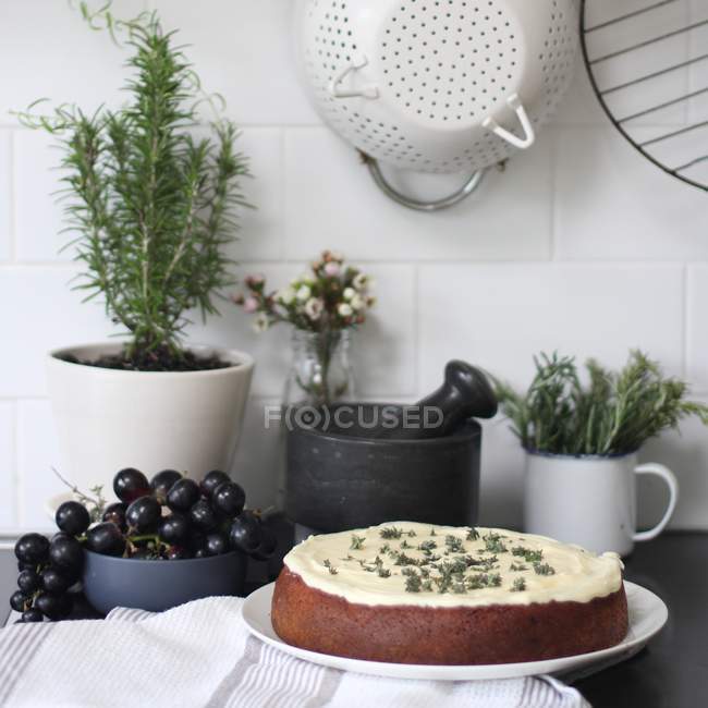 Baked sponge cake — Stock Photo