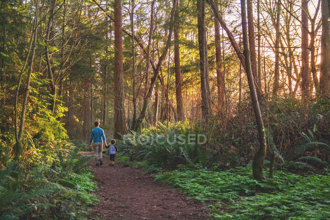 Padre che cammina con figlio nel bosco — Foto stock