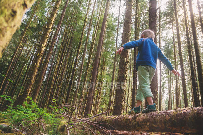 Menino andando através de tronco de árvore — Fotografia de Stock