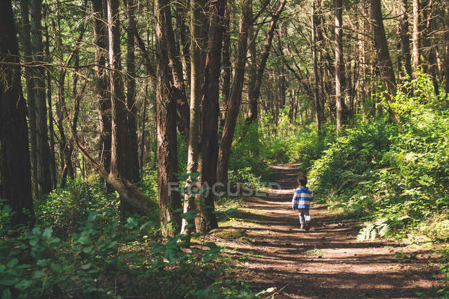 Мальчик идет по тропе в лесу — стоковое фото