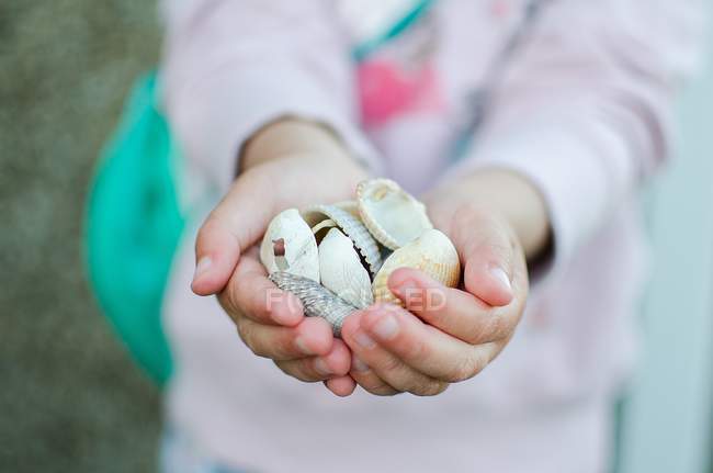 Маленька дівчинка тримає морські мушлі — стокове фото